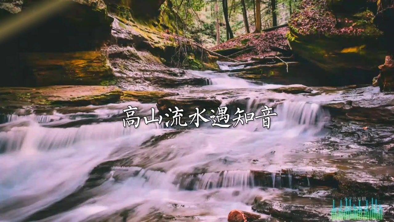 救援男孩与狗